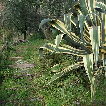 Il Chioso